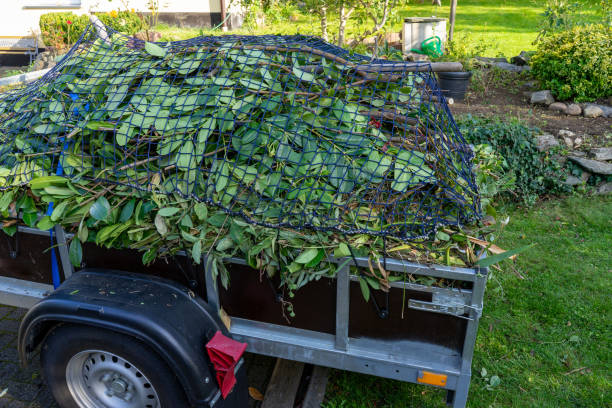 Best Carpet Removal and Disposal  in Palm Coast, FL